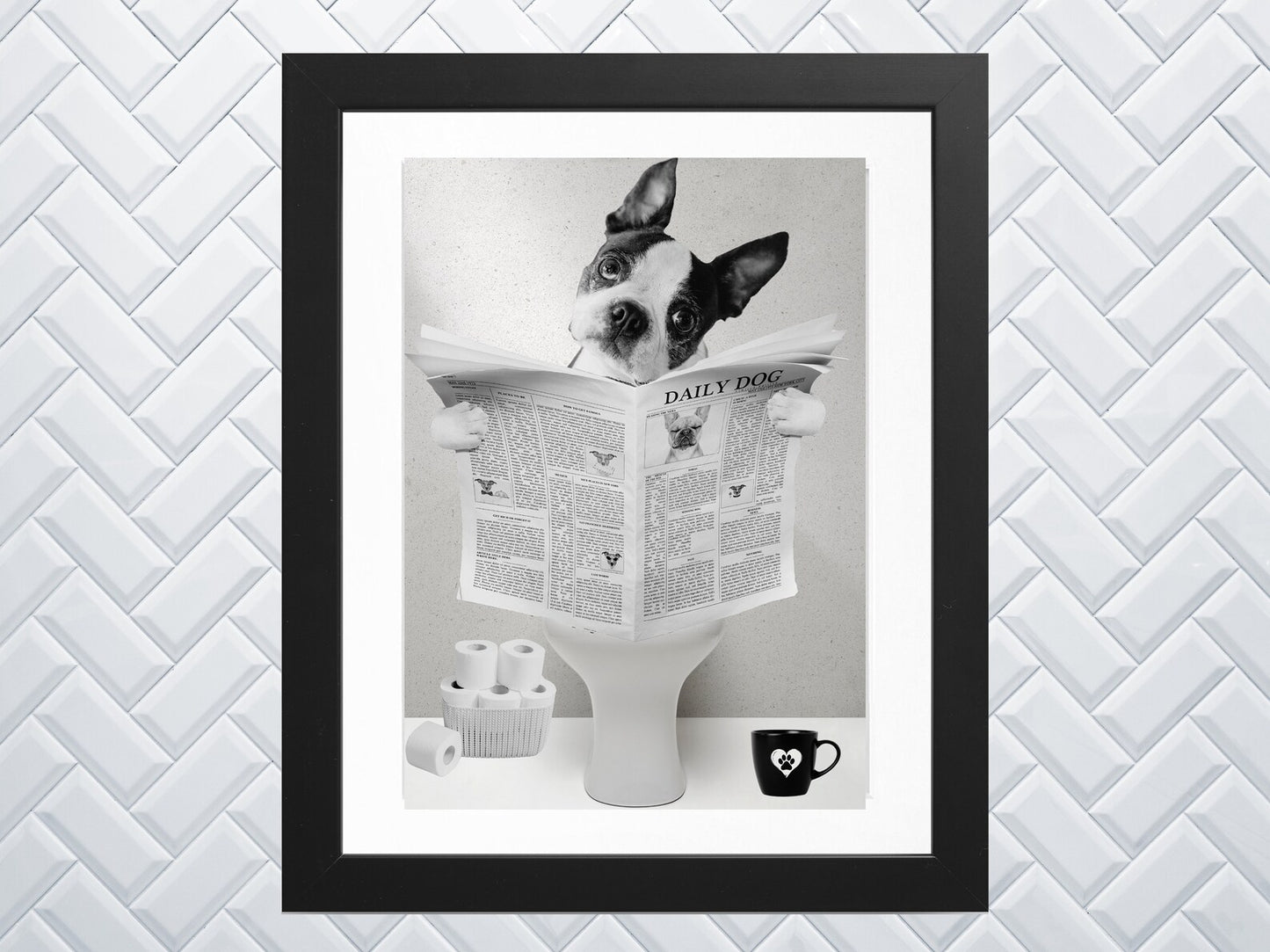 Frenchie Newspaper
